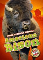 American_bison